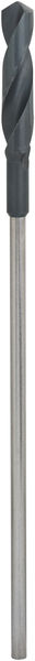Bosch PRO Wood HSS Installationsbohrer, 20 x 100 x 400 mm