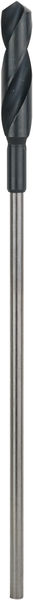 Bosch PRO Wood HSS Installationsbohrer, 22 x 100 x 400 mm