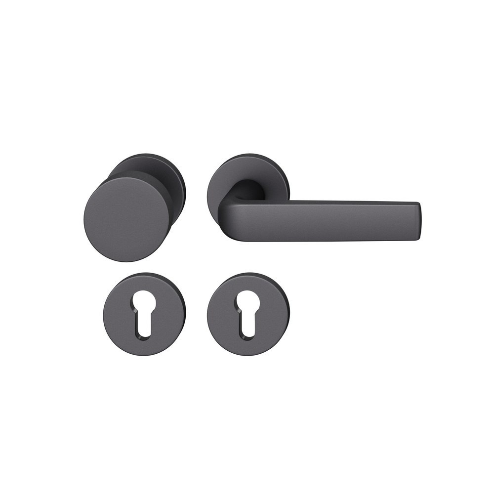 FSB Wechselgarnitur mit Rosetten 12 1267, Knopf 0 829, VK 8,5, rund, Aluminium