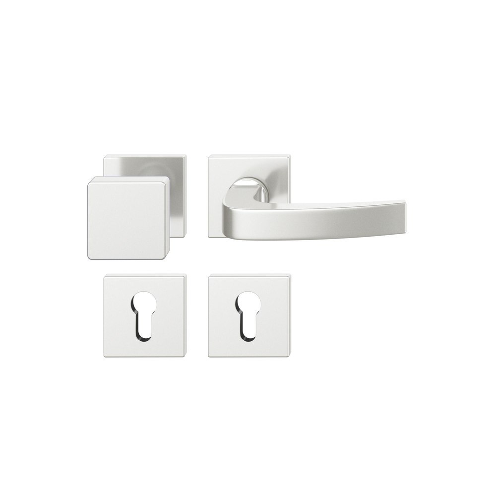 FSB FH Wechselgarnitur mit Rosetten 76 1163, VK 9, eckig, mit Nocken, Aluminium