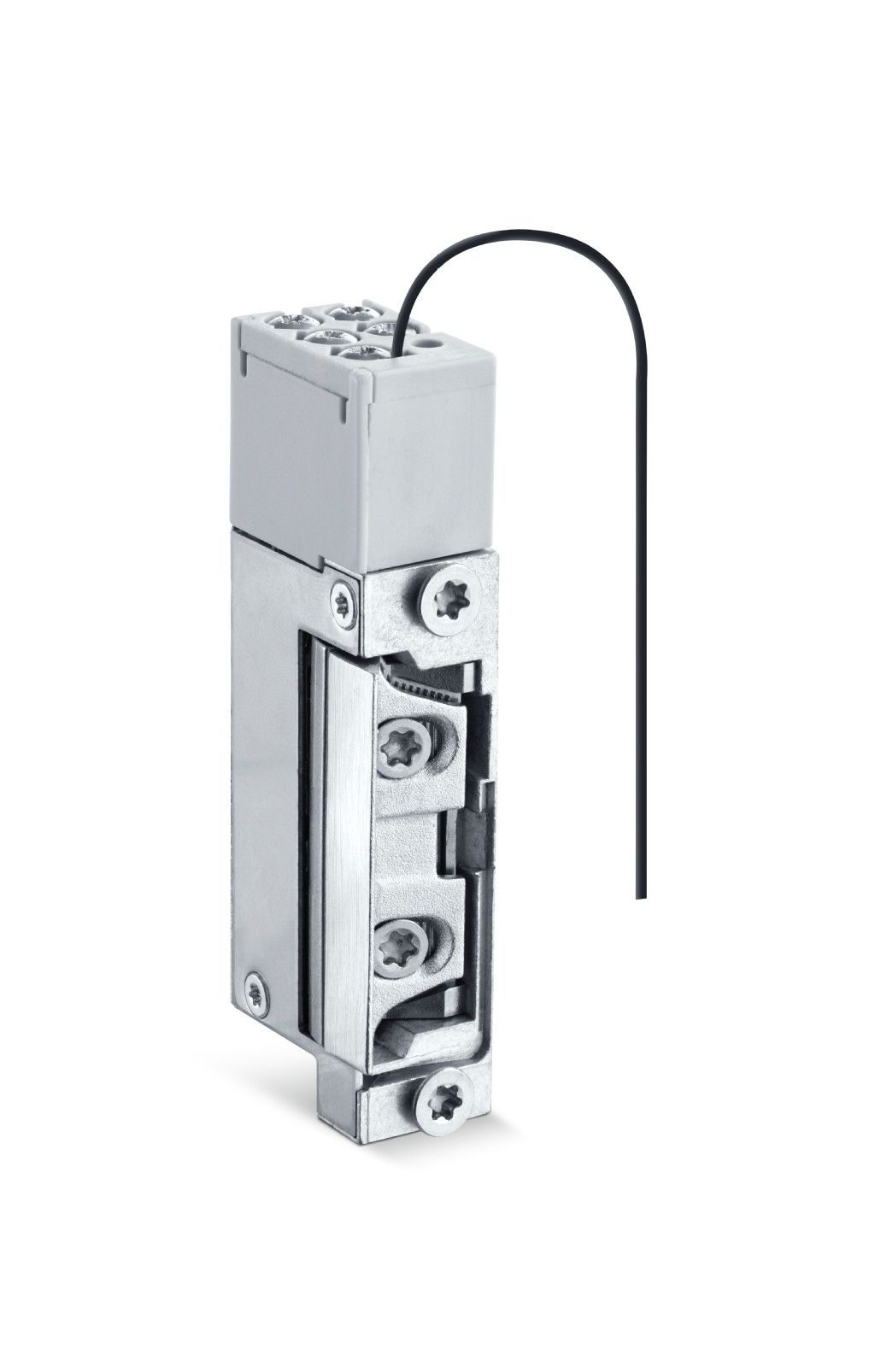 Hauptproduktaufnahme