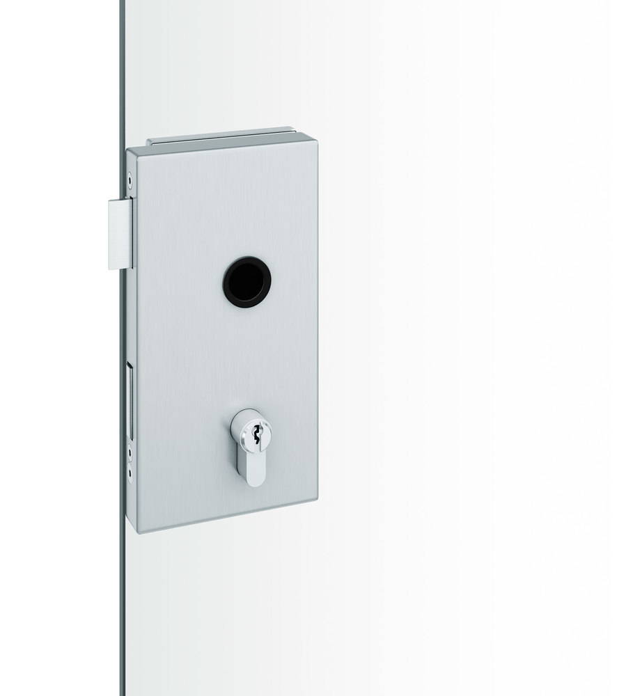 FSB Ganzglastürschloss 13 4220, Edelstahl