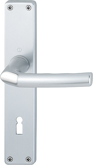 HOPPE Drückergarnitur Birmingham 1117/202SP,LS,BB72/8,F1,TS 37-47,o.No,DIY