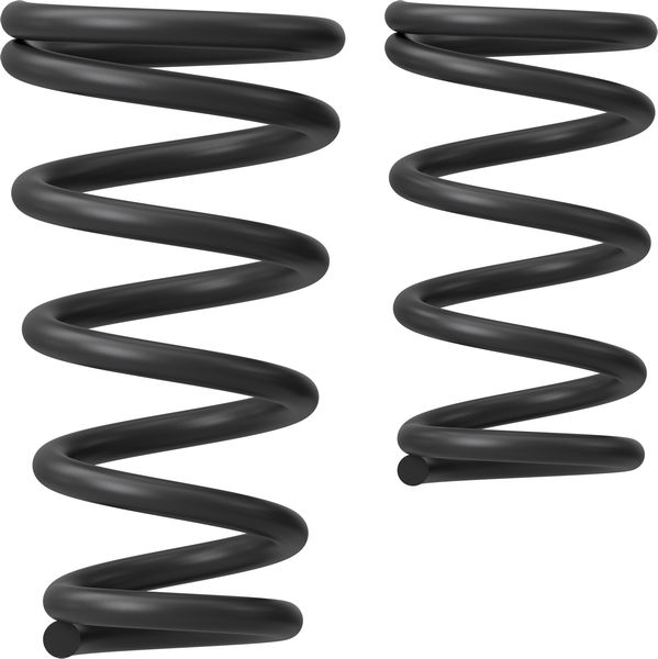 Produktbild, coil, Spring, Schwarz, Spirale, Paar