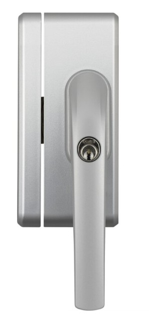 Var61-9516 - Silber