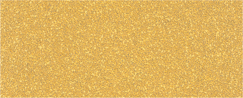 Bosch EXPERT C470 Schleifpapier, o. Löcher für Schwingschleife, 93 x 230 mm, 10 Stk.