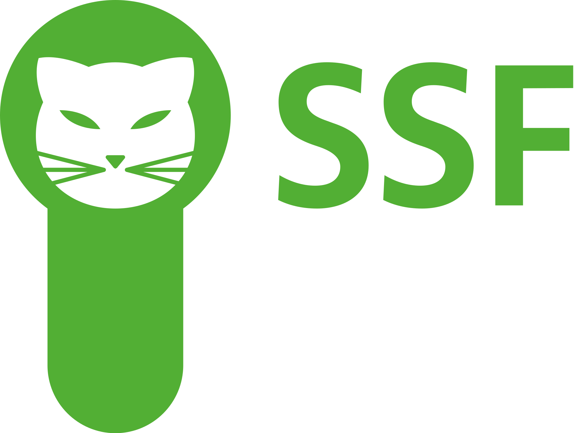 SSF Groitzsch SSF Groitzsch