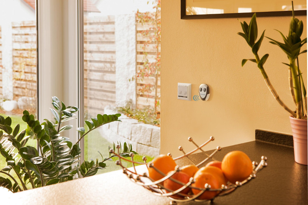 kitchen, fruits, fruit bowl, orange, plant