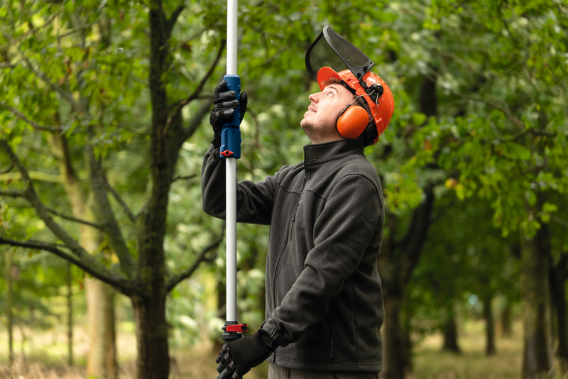 Arbeiter, Vegetation, Handschuh, Portrait, Schutzhelm