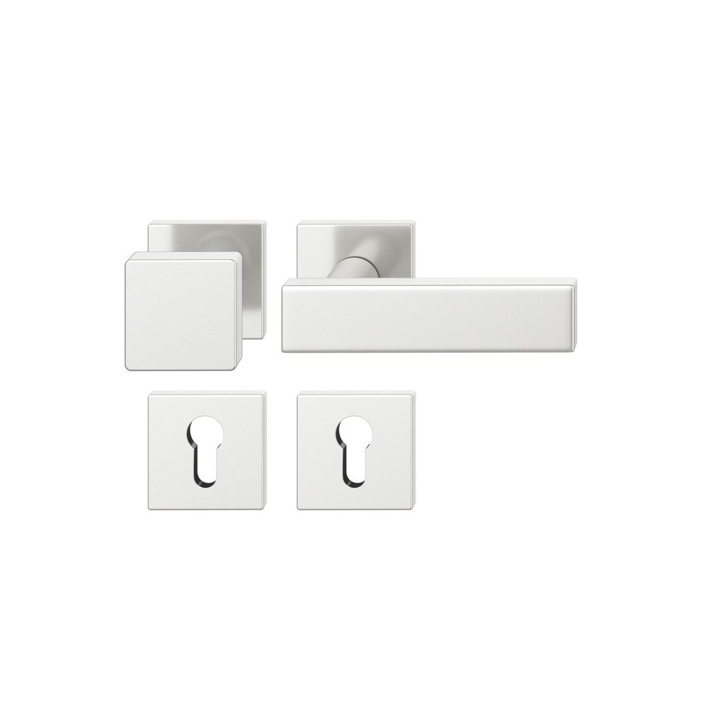 FSB Wechselgarnitur mit Rosetten 12 1003, Knopf 0 811, VK 8, eckig, Aluminium