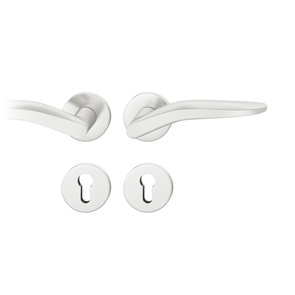 FSB FH Drückergarnitur mit Rosetten 76 1230, rund, mit Nocken, VK 9, AGL3, Aluminium