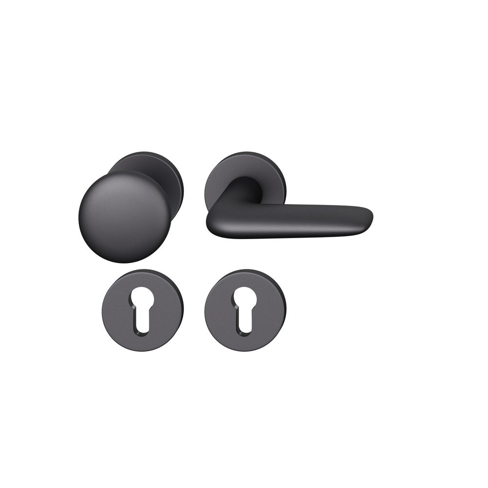 FSB Wechselgarnitur mit Rosetten 12 1291, Knopf 0 802, VK 8, rund, Aluminium