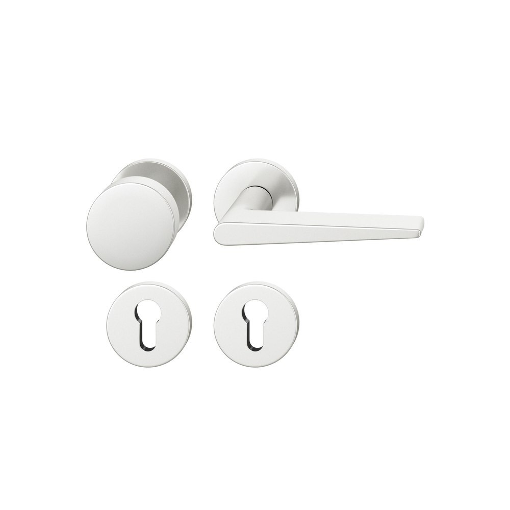 FSB Wechselgarnitur mit Rosetten 12 1005, Knopf 0 829, VK 8, rund, Aluminium