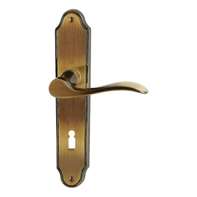 Türgriff HOPPE Wien M123/221I