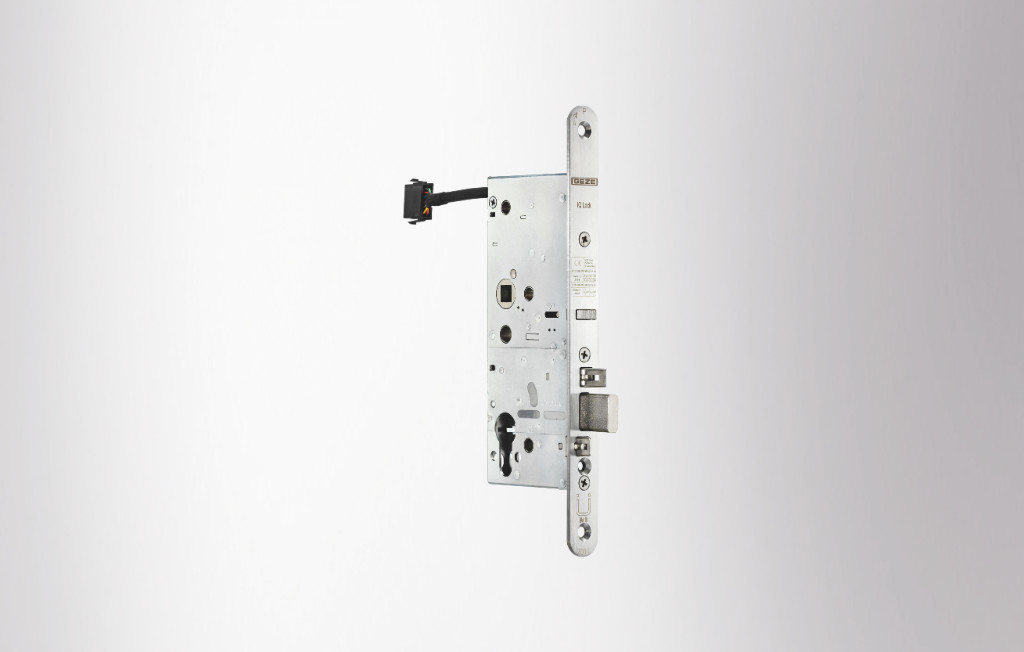 Produktaufnahme, Tier, Vogel, Fliegend