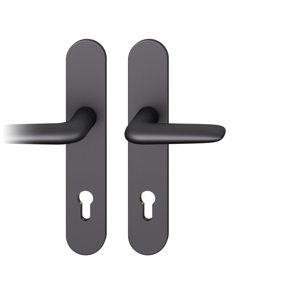 FSB Drückergarnitur mit Langschild 12 1291, VK 8, oval, mit Nocken, HT, Aluminium